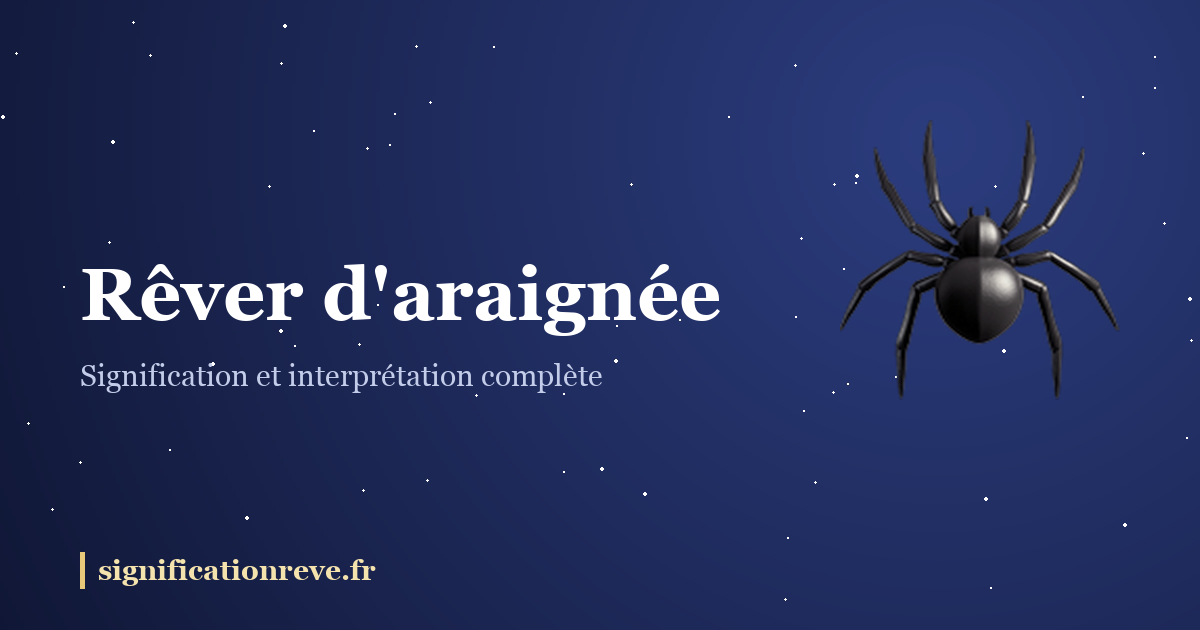 Rêver d'araignée : illustration